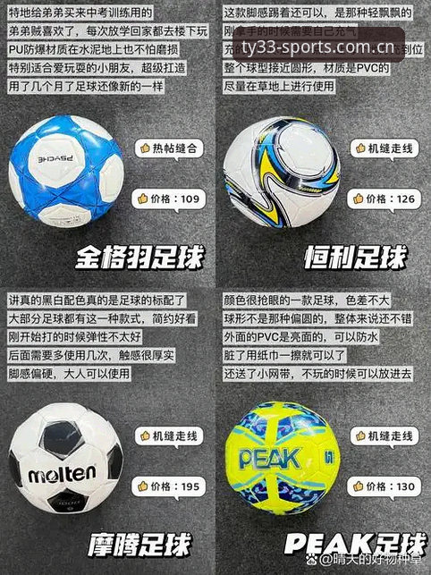 33体育最新版本对比 33体育最新版本对比,到底哪个版本更适合你?